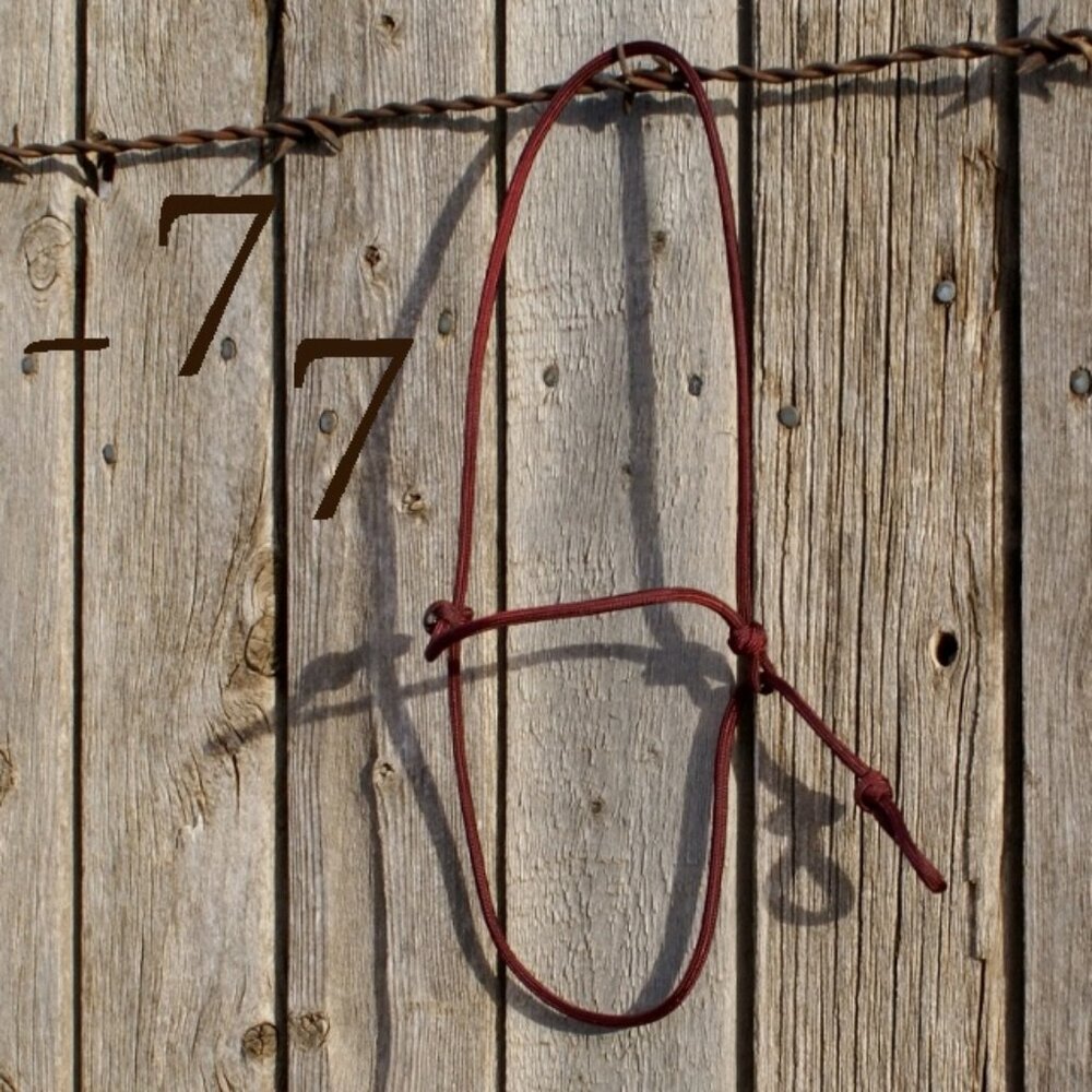 The ORIGINAL Paracord Show Ring Halter -  Sheep/Lamb/Goat Livestock Show Halter